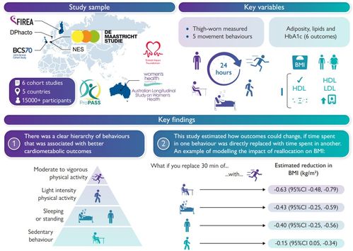 研究發現 運動護心，哪種最給力？數字技術帶你一探究竟